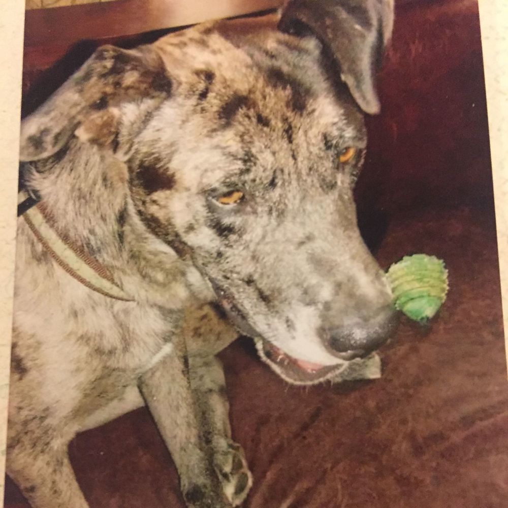 Meet your Posher, Wendy